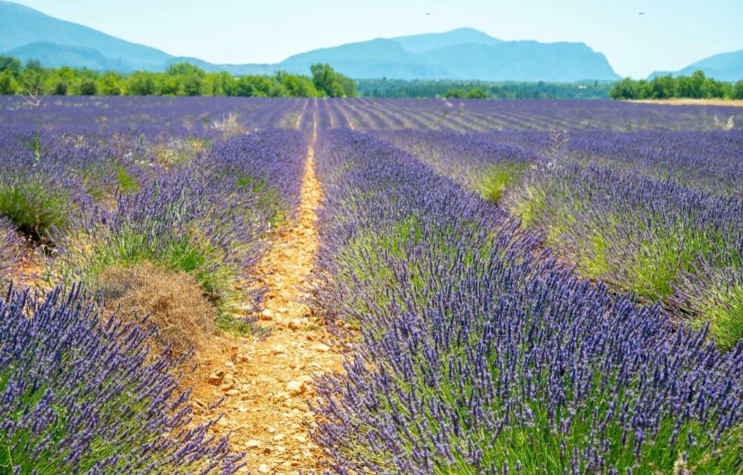 Fuvolea, Maison De Vacances A 15 Min Du Centre D'Aix-En-Provence, Piscine Chauffee En Saison - Jardin - Parking Prive Gratuit Fuveau Екстериор снимка